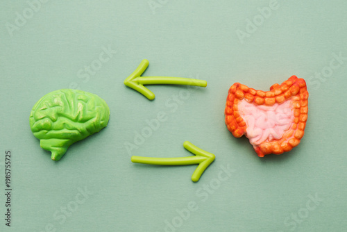 Mental Health Awareness Month. Gut brain axis connection influencing mental health