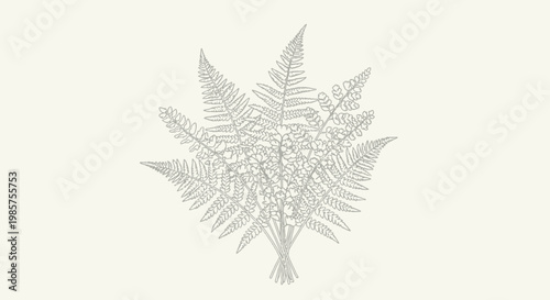 Detailed illustration of a fern leaf.
