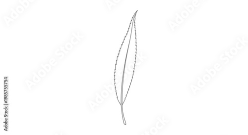 Detailed view of single leaf.