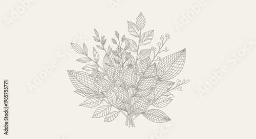 Detailed illustration of various leafy greens.