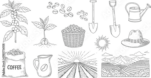 Hand drawn vintage coffee farming vector illustration set featuring coffee plants beans plantation landscapes tools and harvest equipment for organic agriculture design