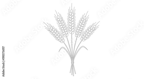 Obraz na płótnie Wheat Ears Agriculture Food Grain Crops.