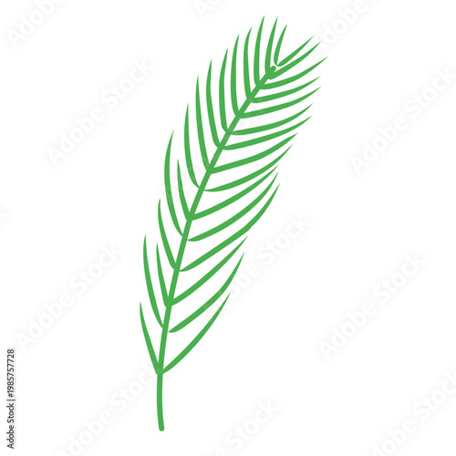 green outline of tropical leaves
