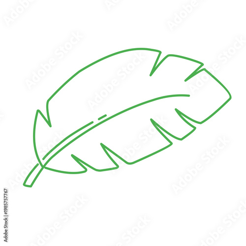 green outline of tropical leaves