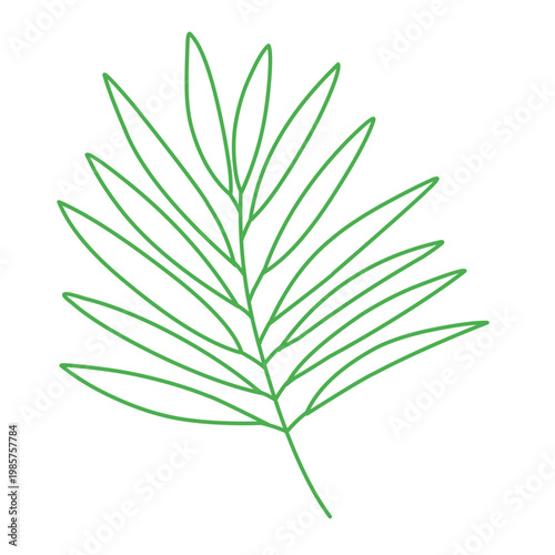 green outline of tropical leaves