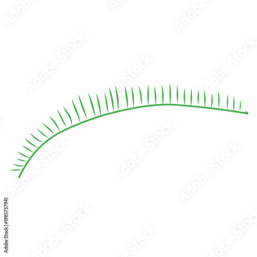 green outline of tropical leaves