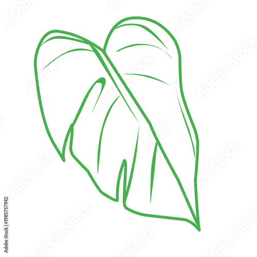 green outline of tropical leaves