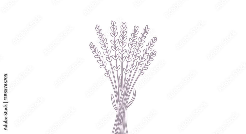 Fototapeta premium Bundle of white flower branches.