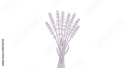 Tableau sur toile Bundle of white flower branches.