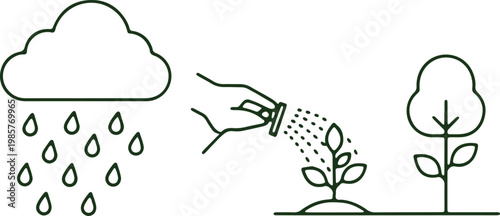 Natural and artificial methods of watering plants for growth