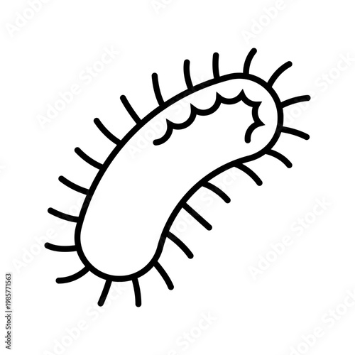 Bacteria icon icon. Science and microbiology line symbol. Black and white.