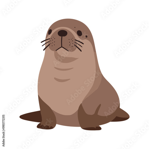 Sea lions are carnivores who are characterized by their external ear flaps, long foreflippers, and the ability to walk on all fours, as illustrated