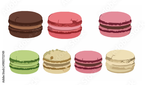 Colorful macarons vector illustration with detailed texture isolated on white background
