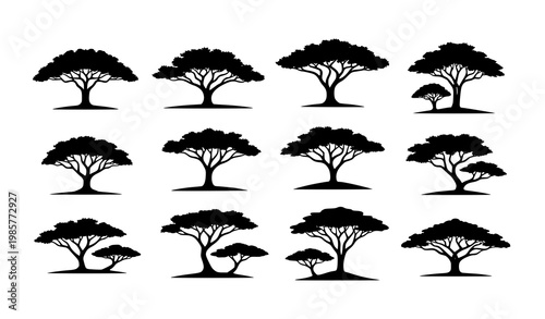 Bild auf Leinwand Acacia tree silhouette icon collection black vector on white background