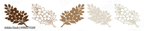 Set of 5 Decorative Floral Branch Vector Illustrations isolated PNG with Transparent Background