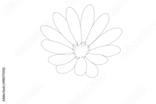 Minimalistische Strichzeichnung einer Gänseblümchen-Blüte auf weißem Hintergrund