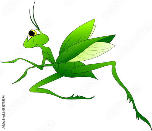 green grasshopper during a jump