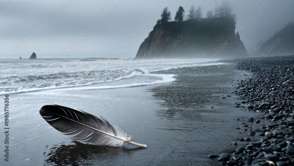 Naklejka premium A black feather rests upon a dark sand beach, while waves pound the shore near misty cliffs and a forest