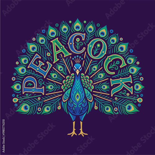 Colorful Peacock Bird Display.