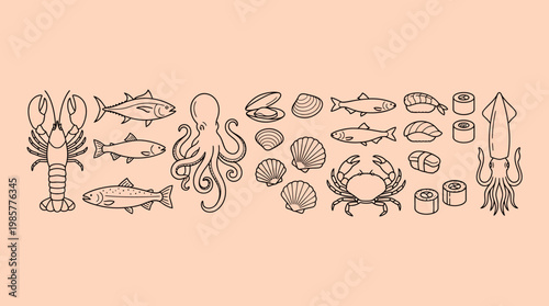 Collection of hand-drawn marine life and seashells: crabs, lobsters, fish, octopus, squid, jellyfish, scallops and clams in a vintage sketch style