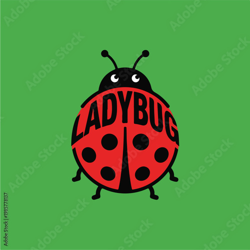Ladybug Cartoon Insect Graphic.