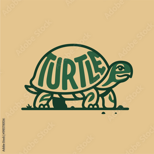 Turtle Cartoon Character Design.