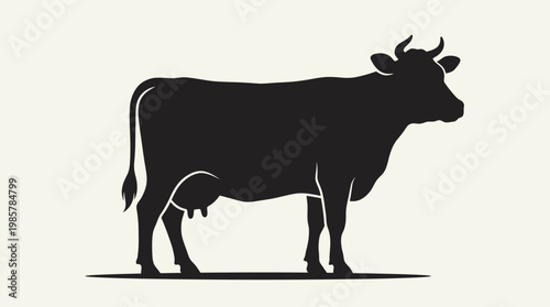 Black cow standing profile view.