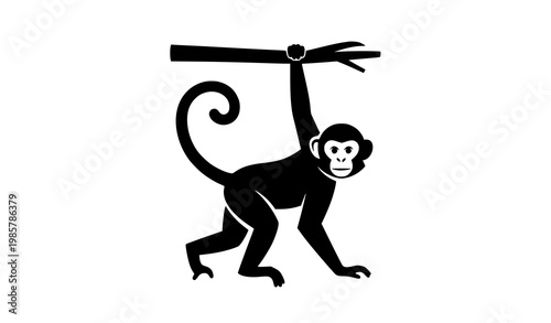 Photography Playful monkey hanging from tree branch silhouette vector illustration