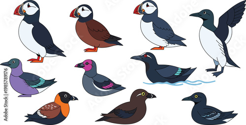 Shark species and colorful predatory marine fish aquatic wildlife flat icon set