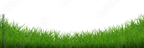 Green grass curve arc border isolated. Vector