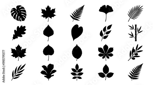 Collection of various leaf silhouettes.