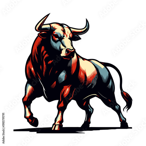 Bull vector and illustration.