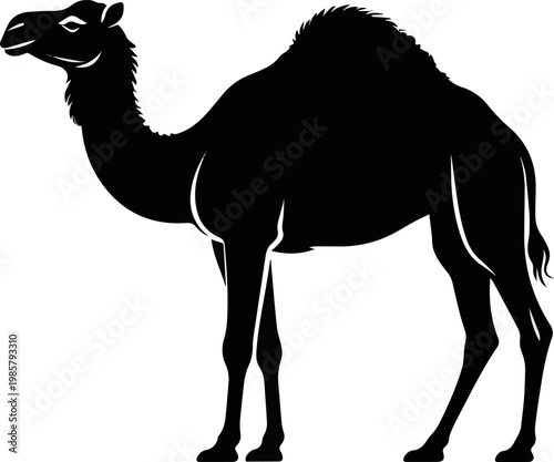  Generate a realistic Camel vector art silhouette with white background..