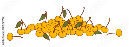 Fresh Yellow Sweet Cherry Berries In Heap. Raw Golden Cherries Pile and Green Leaves. Organic Fruit Summer Harvest. Isolated On White Background. Vector Illustration.