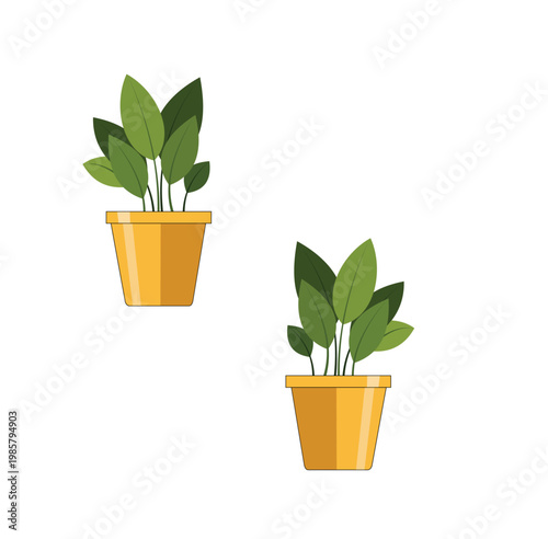 Potted green plants in yellow flowerpots illustration flat vector design element