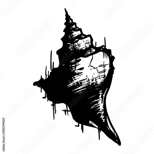 spiral conch seashell illustration with black grunge ink texture