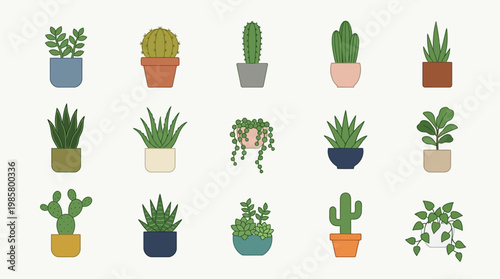 Variety of Potted Cacti and Succulents.