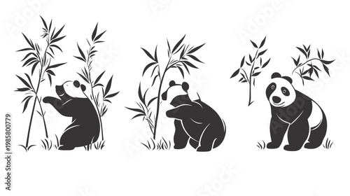 Three stylized panda bears among bamboo stalks on a white background