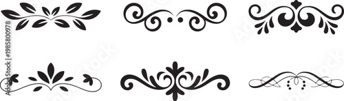 vector illustration of a flower