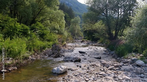 River in the mountain forest, a wild stream flowing through the rocks on a sunny summer day