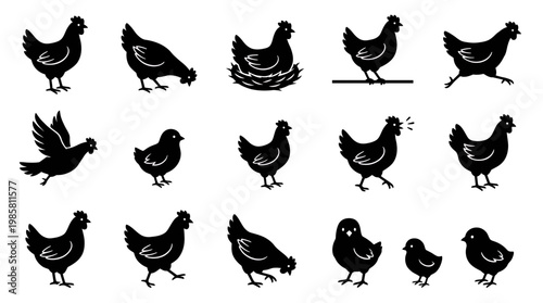 Various black chicken and chick silhouette icons in different poses like nesting and walking isolated on white background, concept for poultry farming, organic meat logo and livestock branding