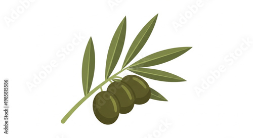 Olive branch vector, green olives, leafy twig, food icon, healthy eating