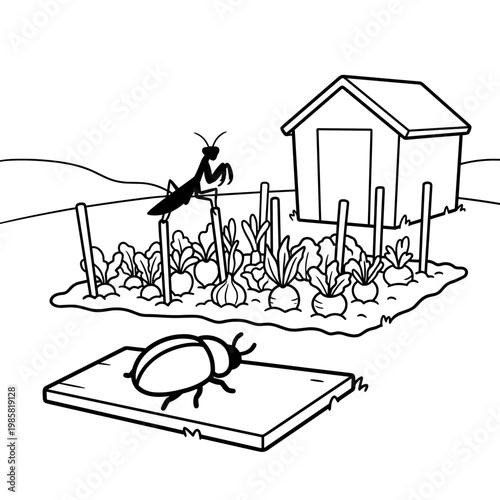 Garden scene with insects and shed in a black and white illustration  coloring page