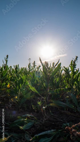 Environmental data scan inside plastic bottle futuristic ecology vertical