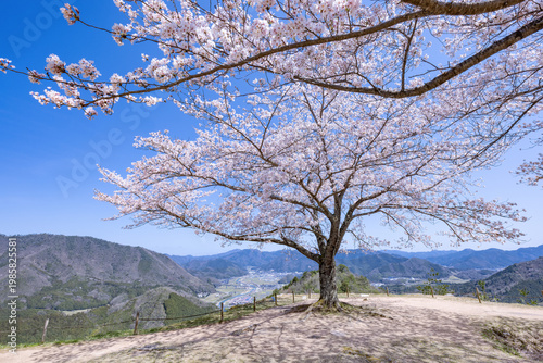 竹田城跡からの眺め