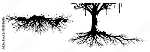 Tree root system with ink drips in black and white graffiti stencil style
