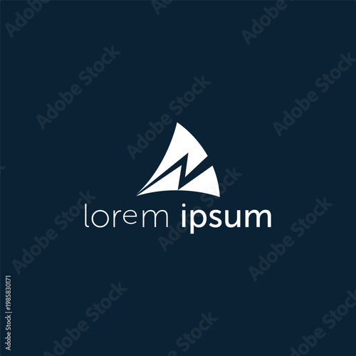 Professional Logo Design