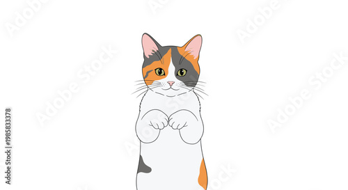 Curious calico cat stands on its hind legs with its front paws tucked in against a plain white background for a pose.