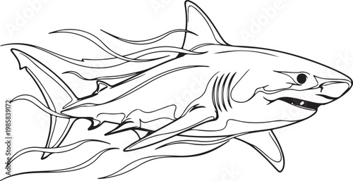 Shark, ocean predator, sea creature, black and white vector, illustration