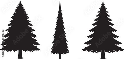 Cedar tree silhouette